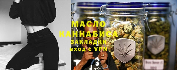 молекула духа Вяземский