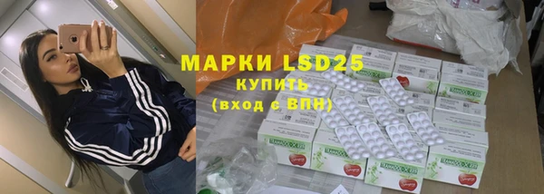 молекула духа Вяземский