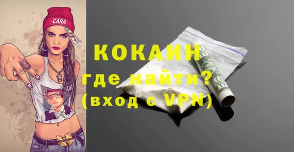 молекула духа Вяземский