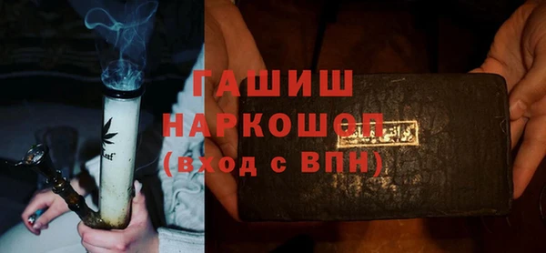 молекула духа Вяземский