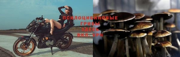 твердый Вязьма