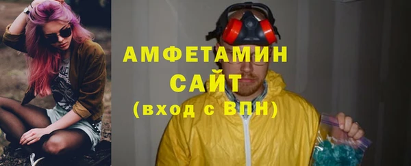 молекула духа Вяземский