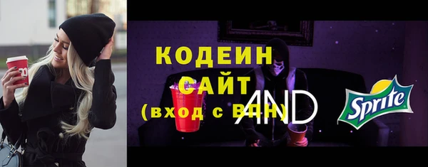 молекула духа Вяземский