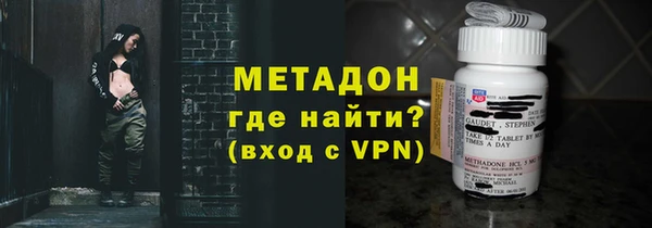 молекула духа Вяземский