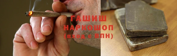 молекула духа Вяземский