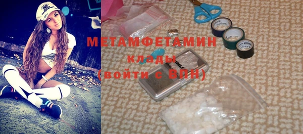 молекула духа Вяземский
