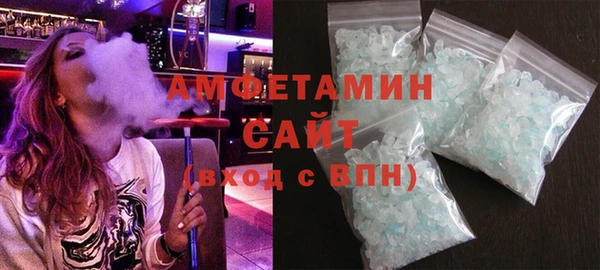 молекула духа Вяземский