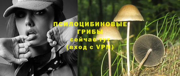 твердый Вязьма