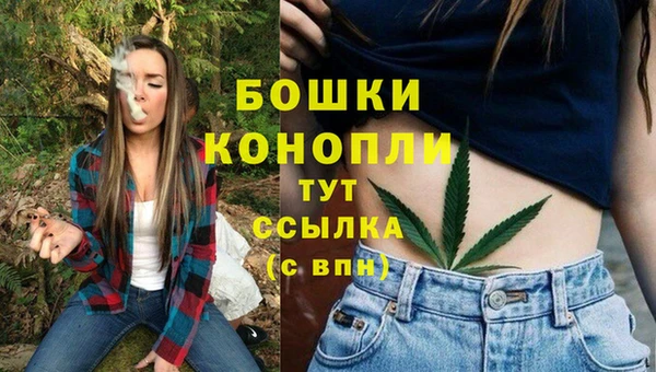 молекула духа Вяземский