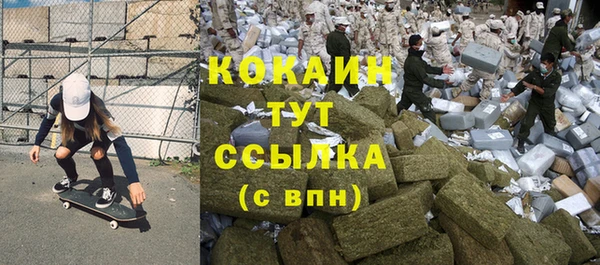 молекула духа Вяземский