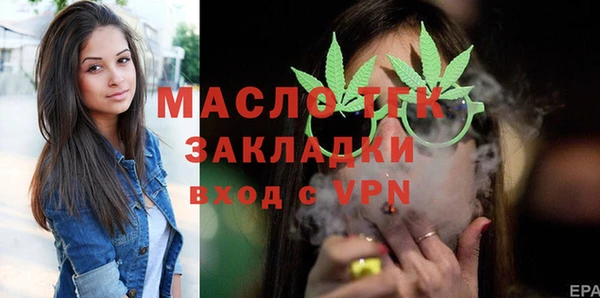 молекула духа Вяземский