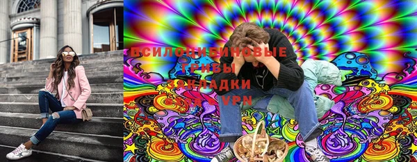 твердый Вязьма