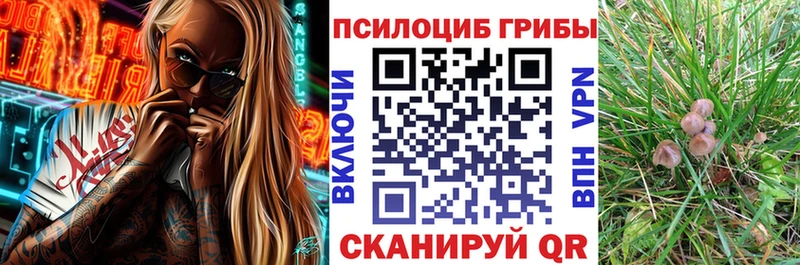 Псилоцибиновые грибы прущие грибы  Артём 